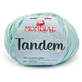 Tandem Mondial