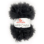 Lapponia Mondial